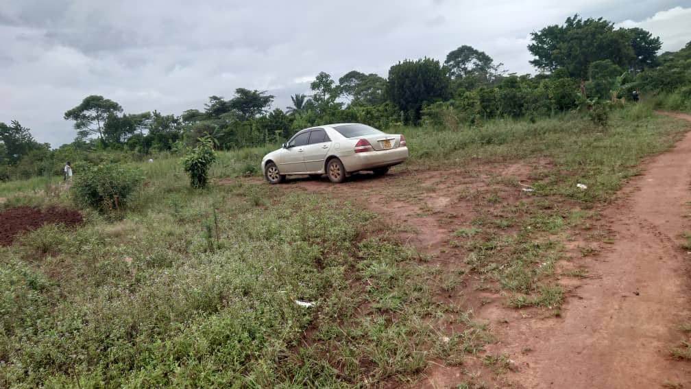 Buyondo-Zirobwe Estate - Image 6