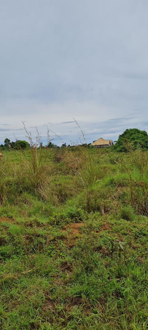 Kasanje-Bulumu Estate