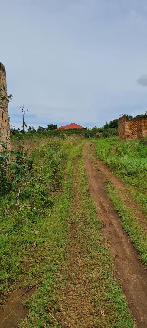 Kasanje-Bulumu Estate