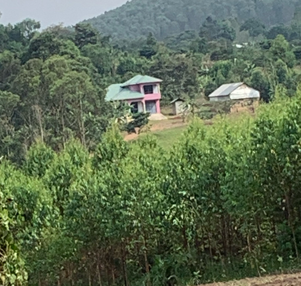 Musizi